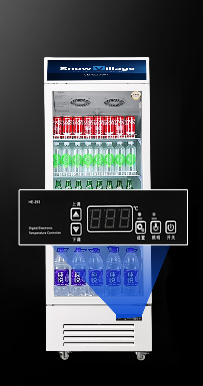 Elektronický ovládač